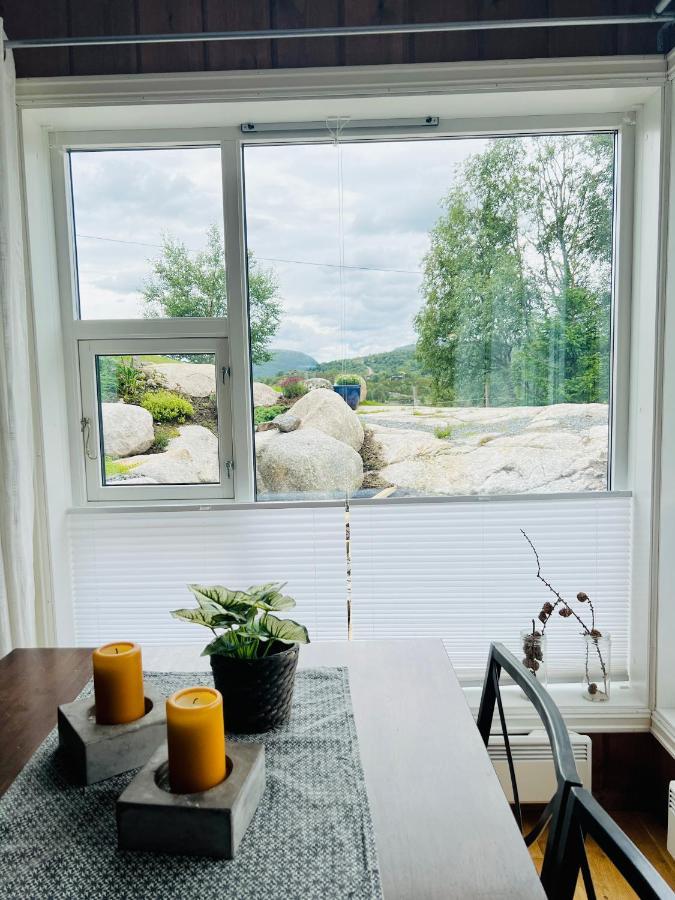 Flott Leilighet Pa Haugen I Sirdal Tjorhom エクステリア 写真